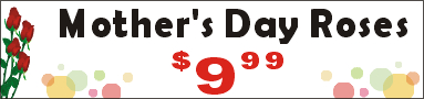 22inX96in Mother's Day Roses Vinyl Banner Sign